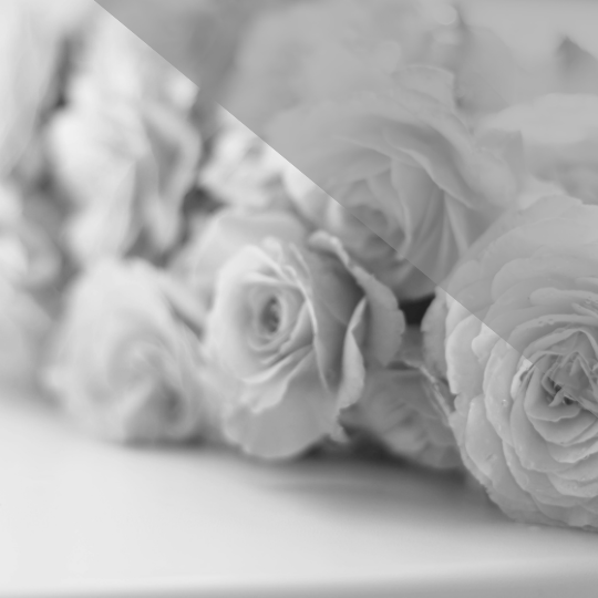 中野バレエ教室教師の紹介